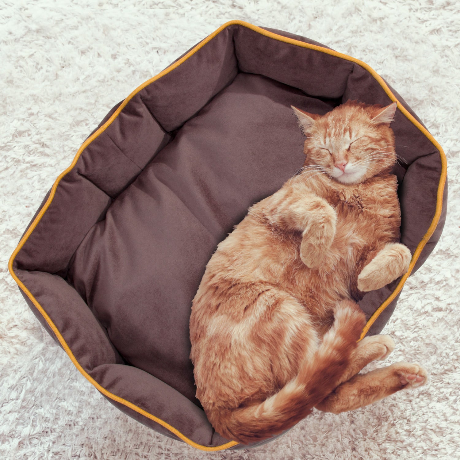Maksim Kadife Yıkanabilir Kedi Köpek Yatağı - Small 40 x 60 x 17 cm.